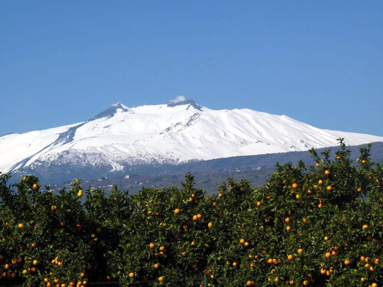 Piedimonte MARE ETNA