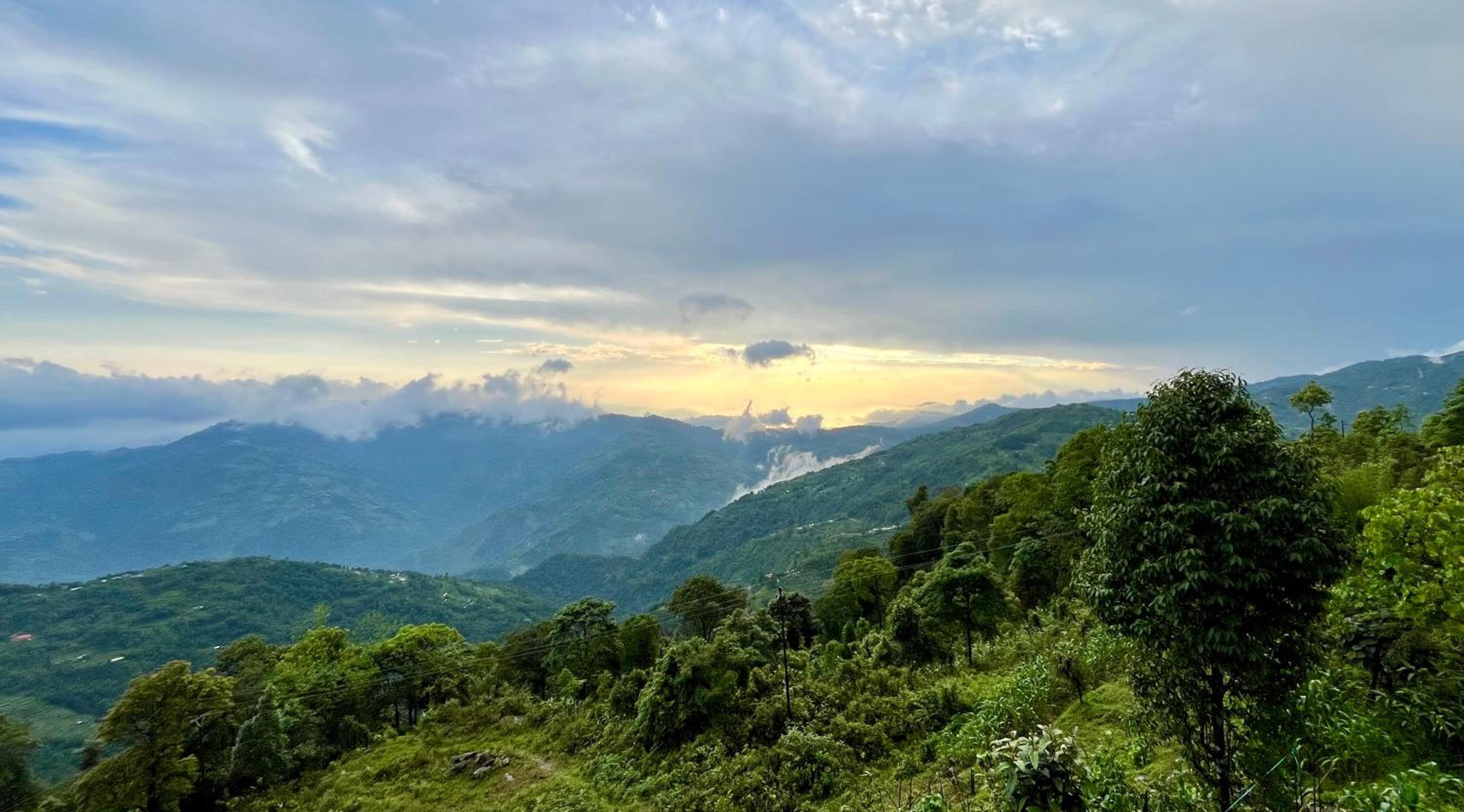 Sherpa Homestay