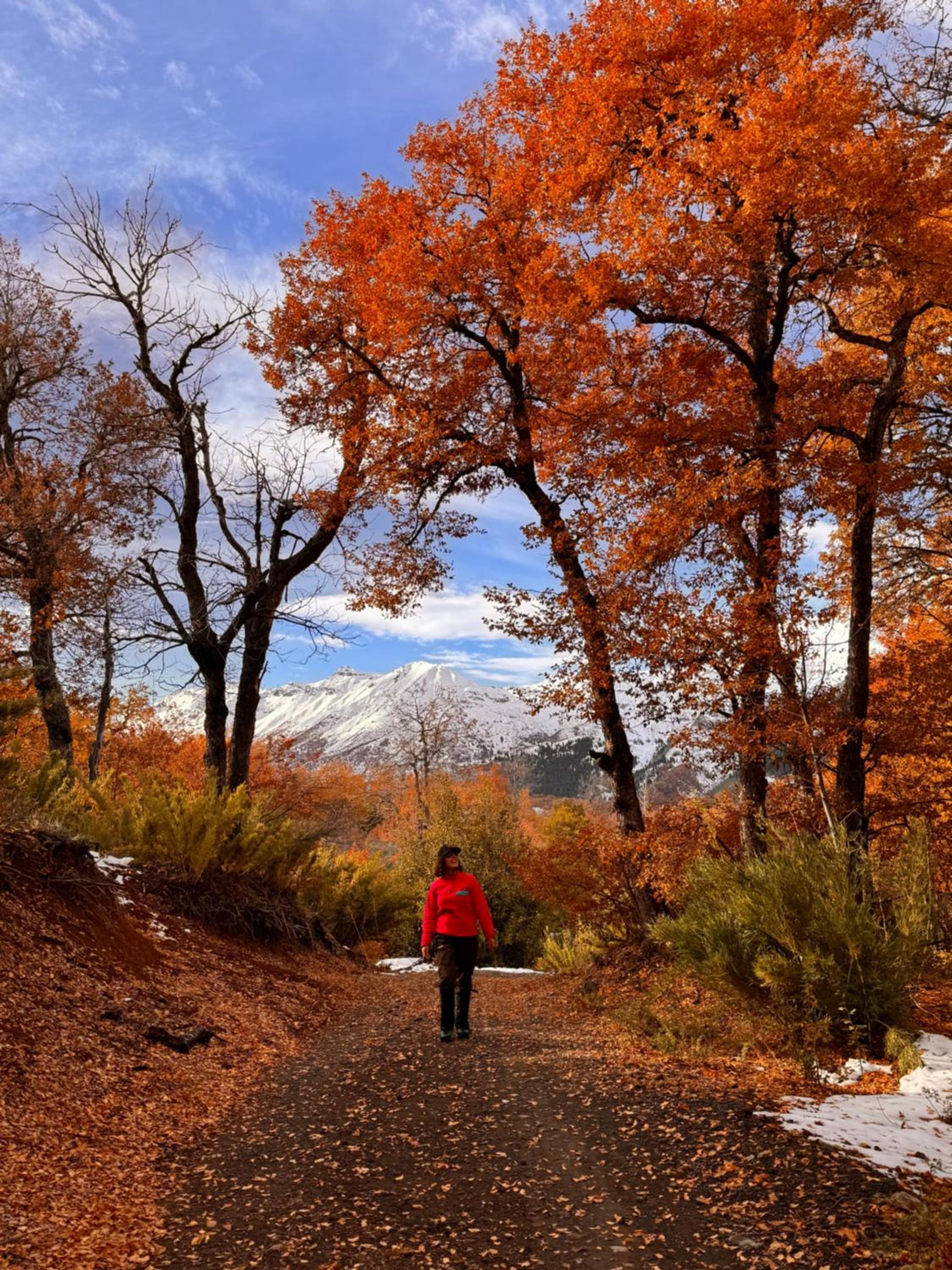 Parque Guaiquivilo, Cabañas de montaña con tinaja privada