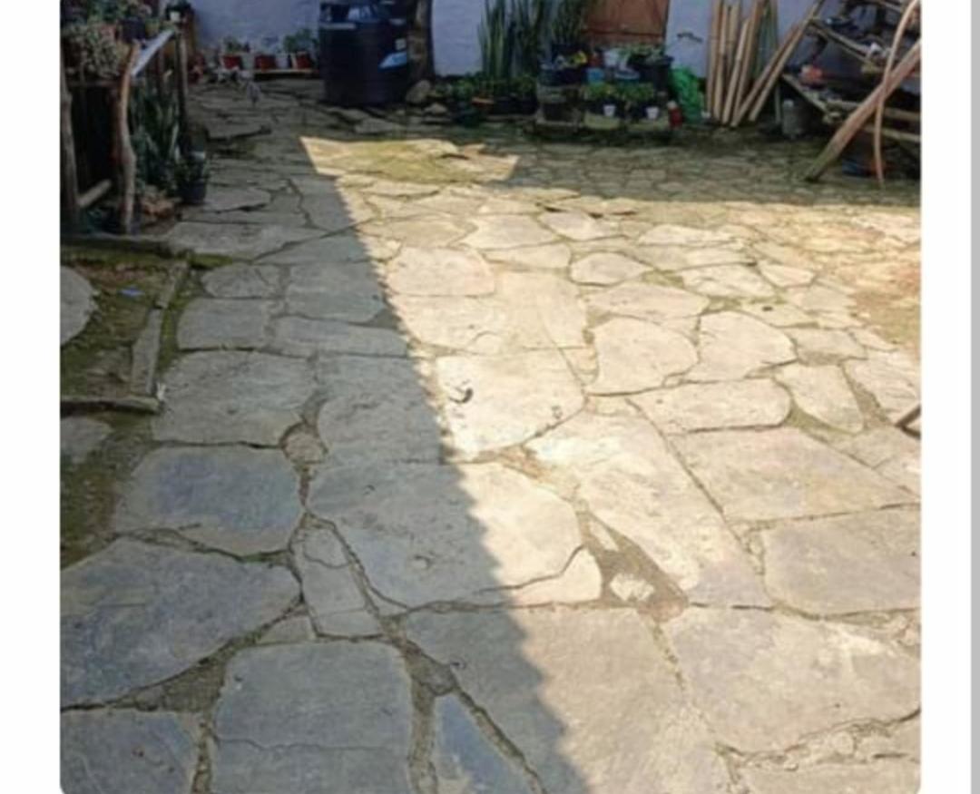 Nungsangjungla Homestay