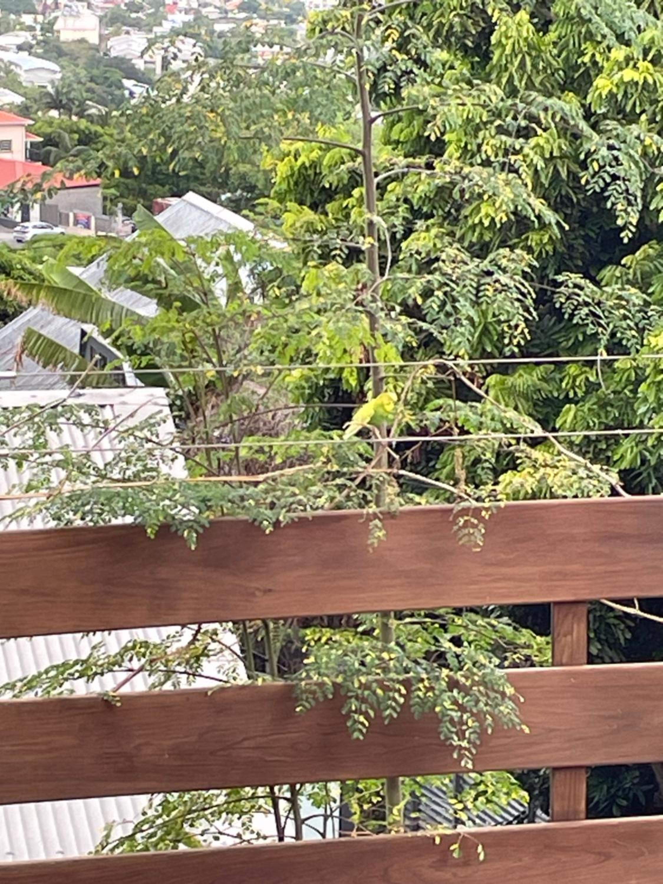 Vue, nature et détente - piscine chauffée view 5