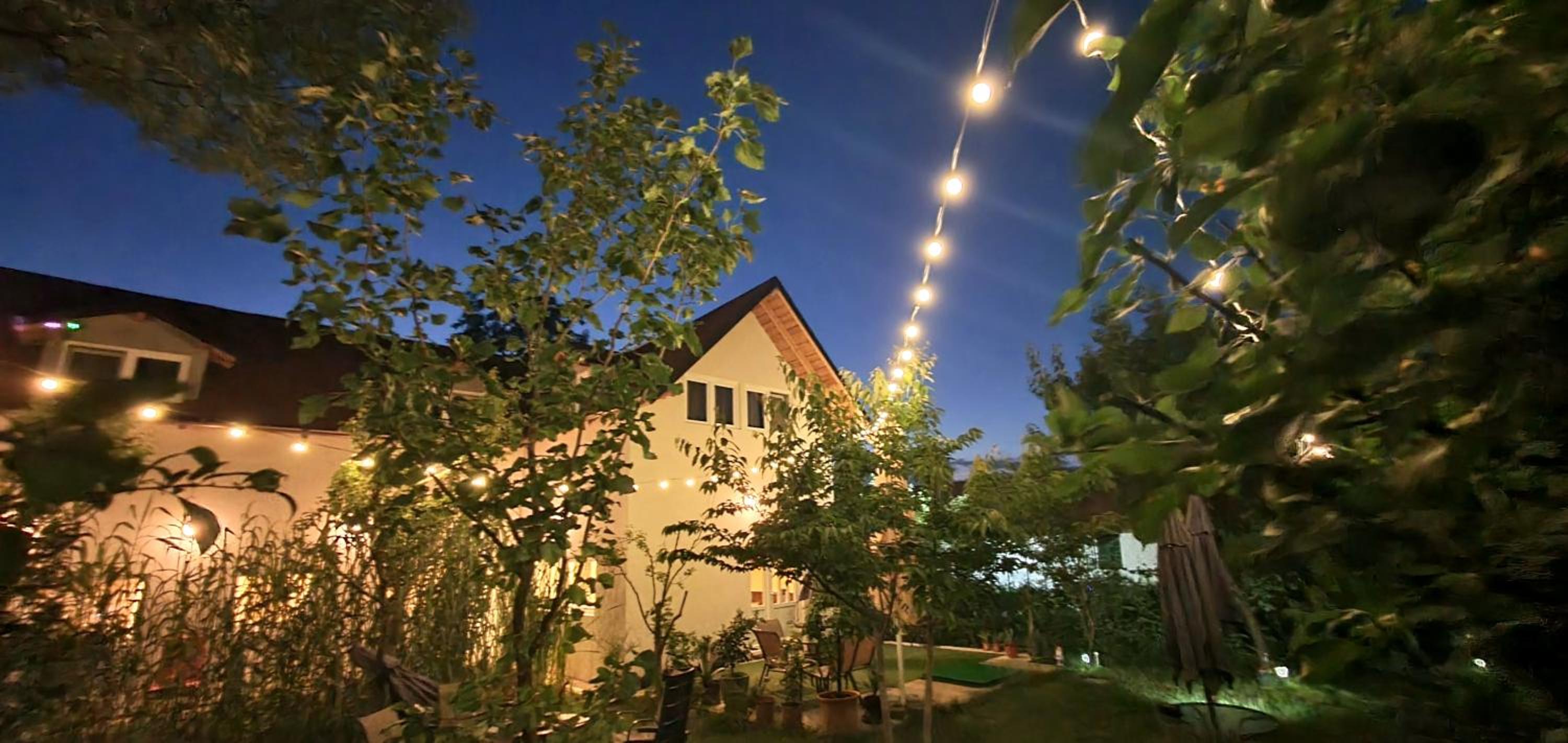 Forest Inn