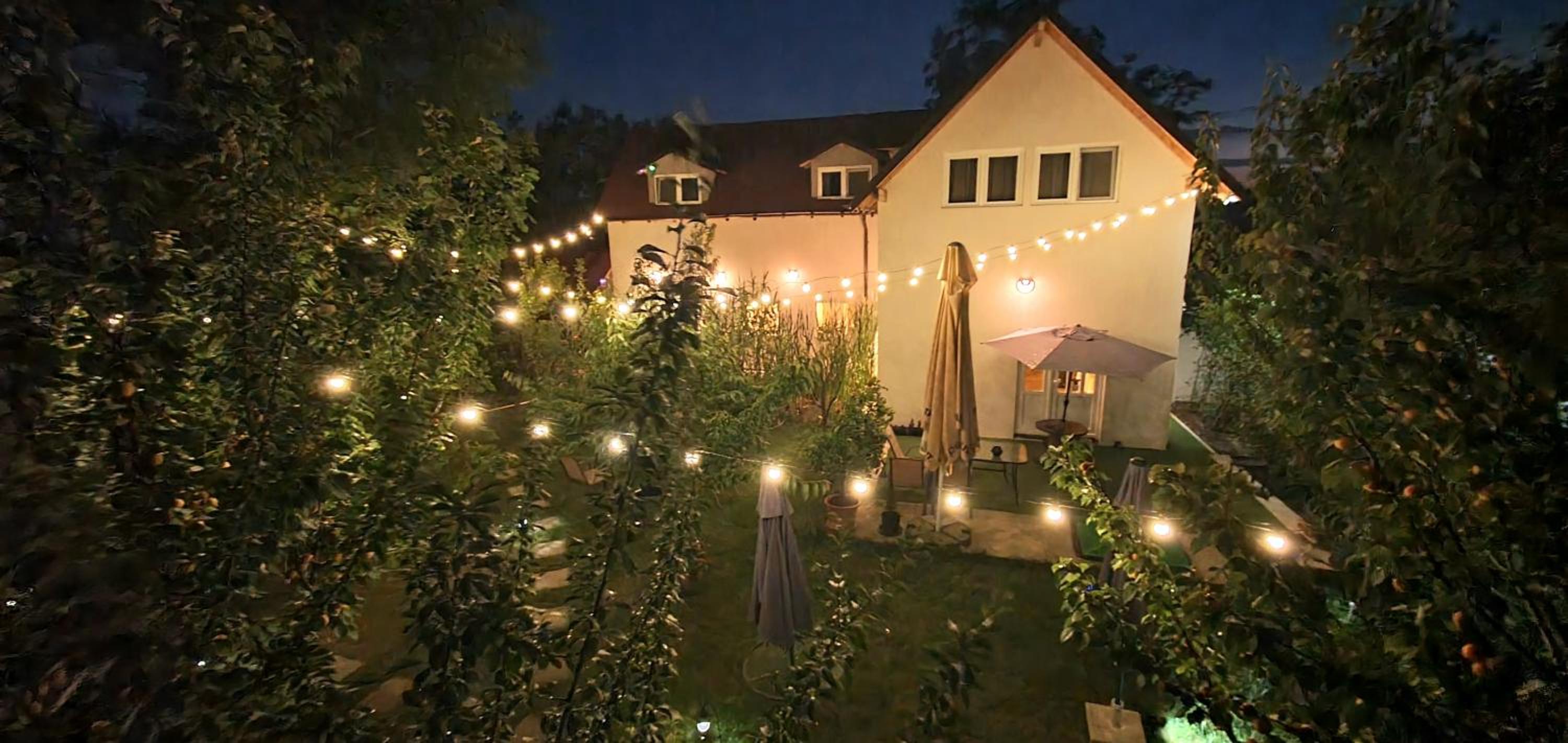 Forest Inn
