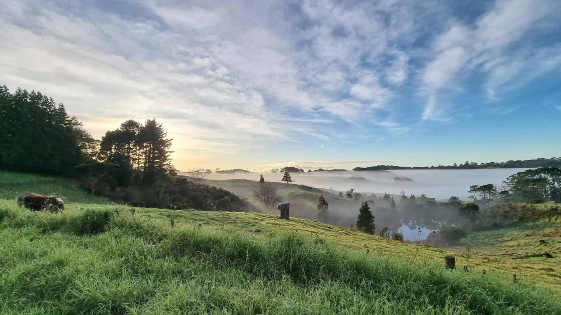 The Kauri Sanctuary by Tiny Away view 3