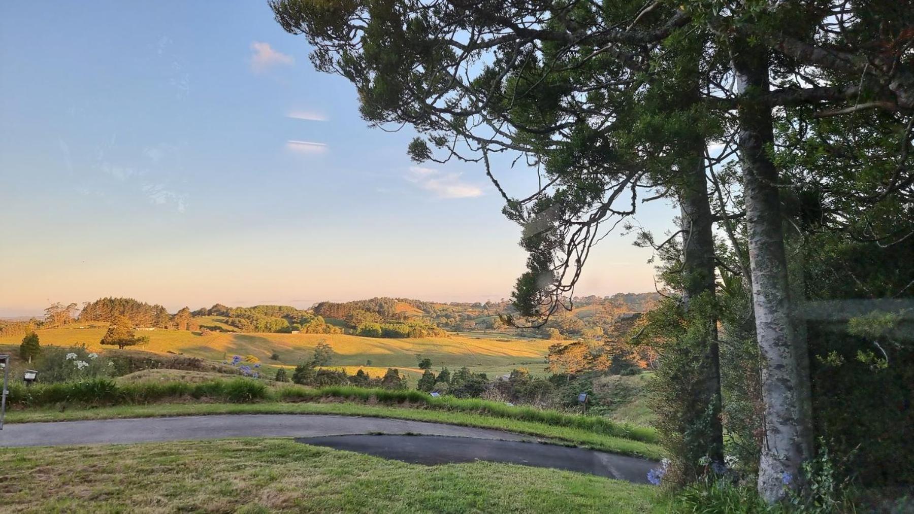 The Kauri Sanctuary by Tiny Away view 5