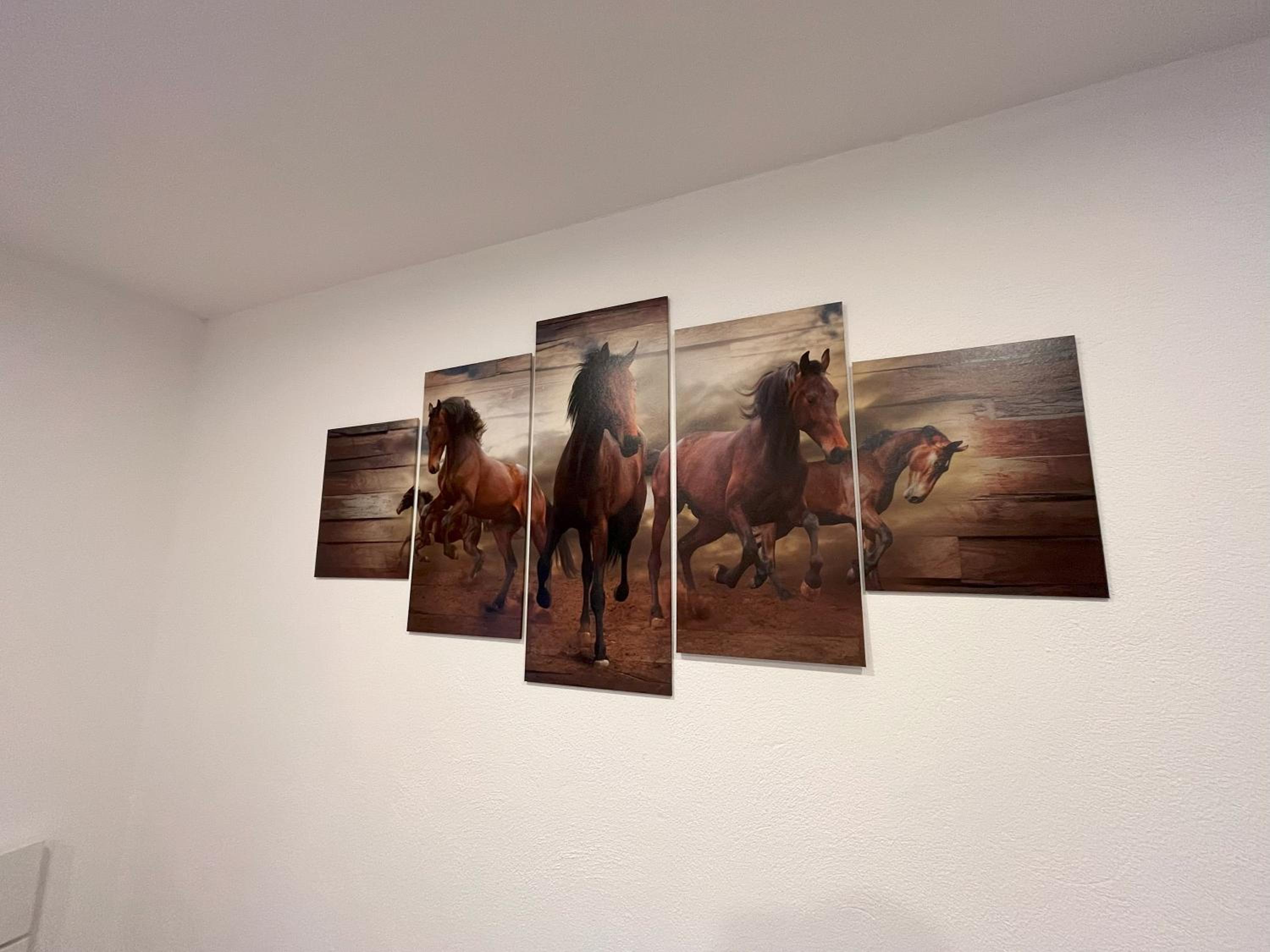 Ranchhouse Bubble - Westernstable - Horse