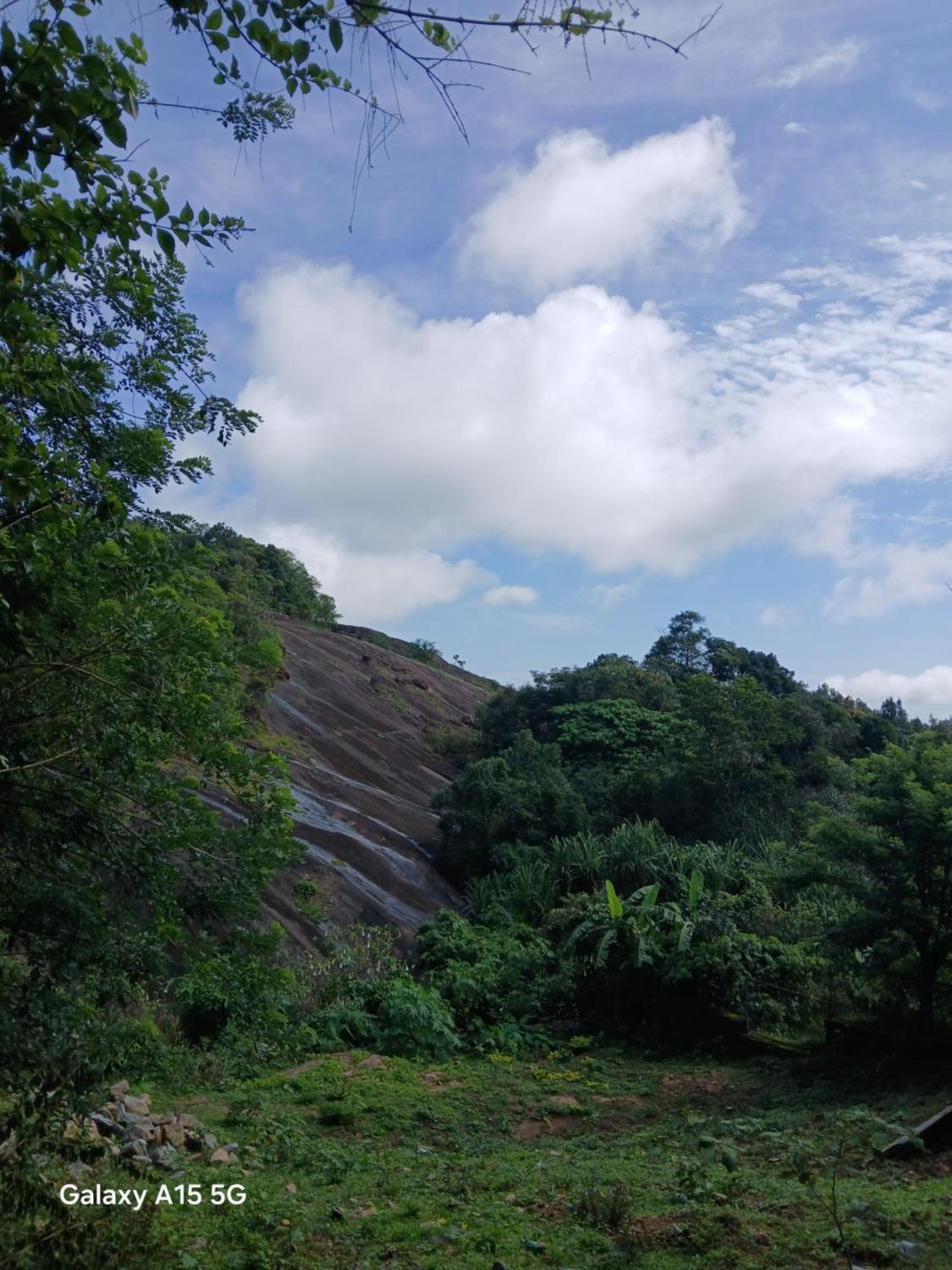 Vagamon Mist valley