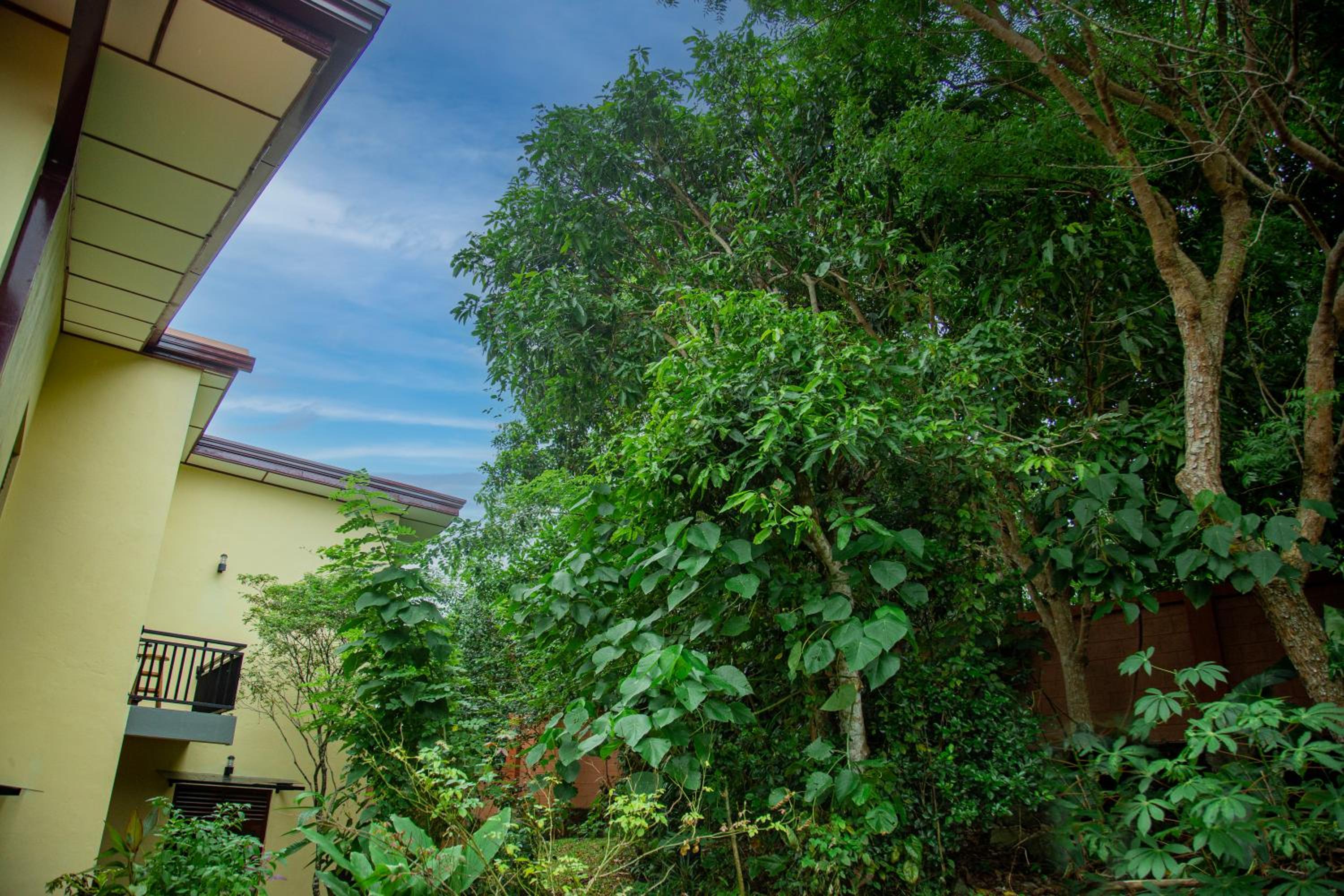 Back Forest Villa view 2