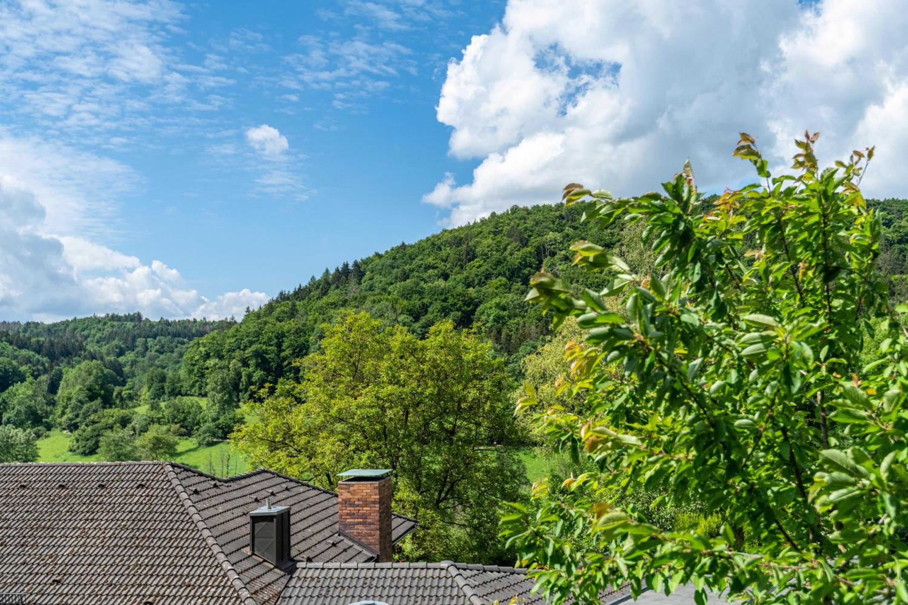 Schlossblick view 3