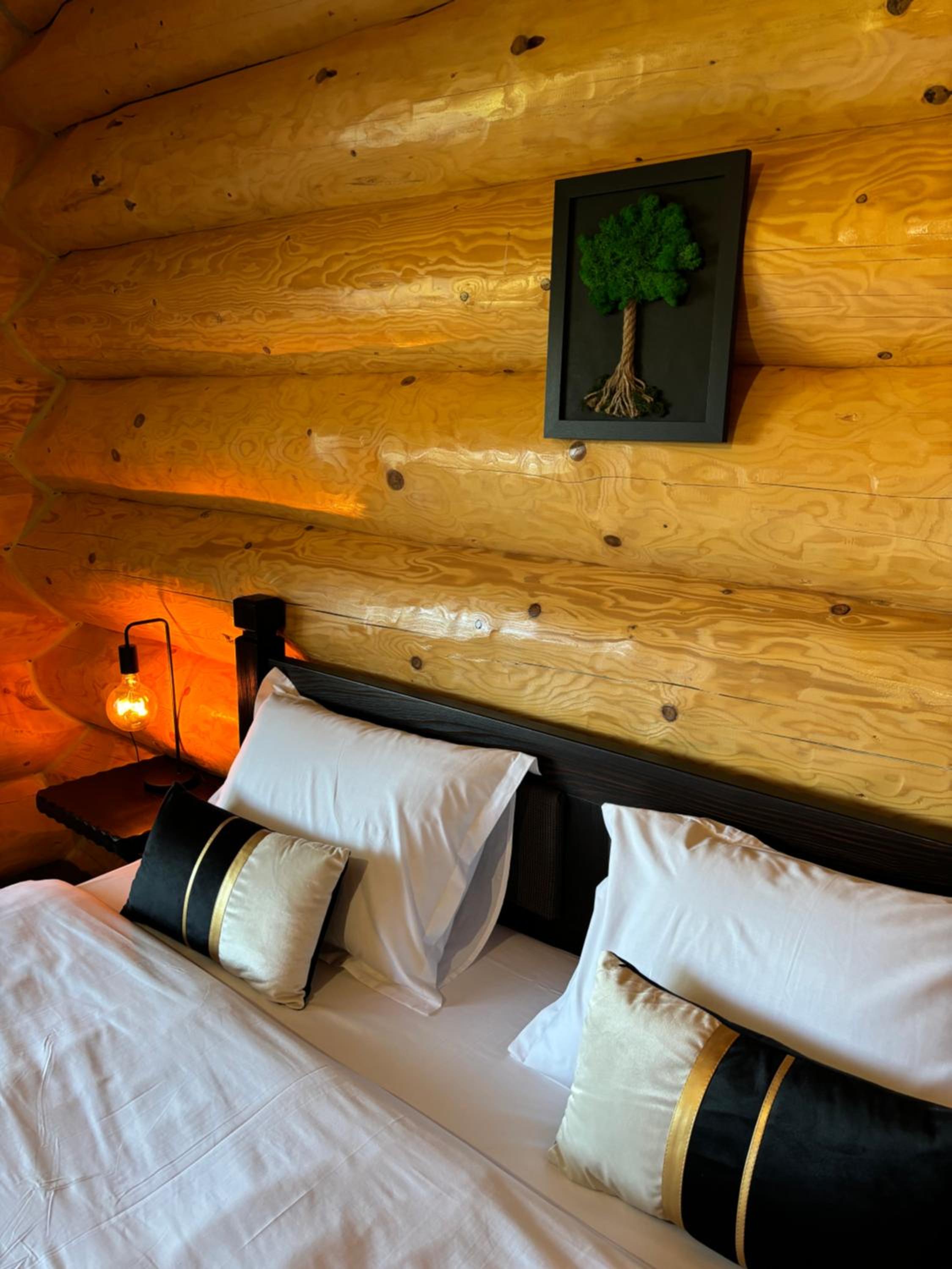 Bucovina Exclusiv