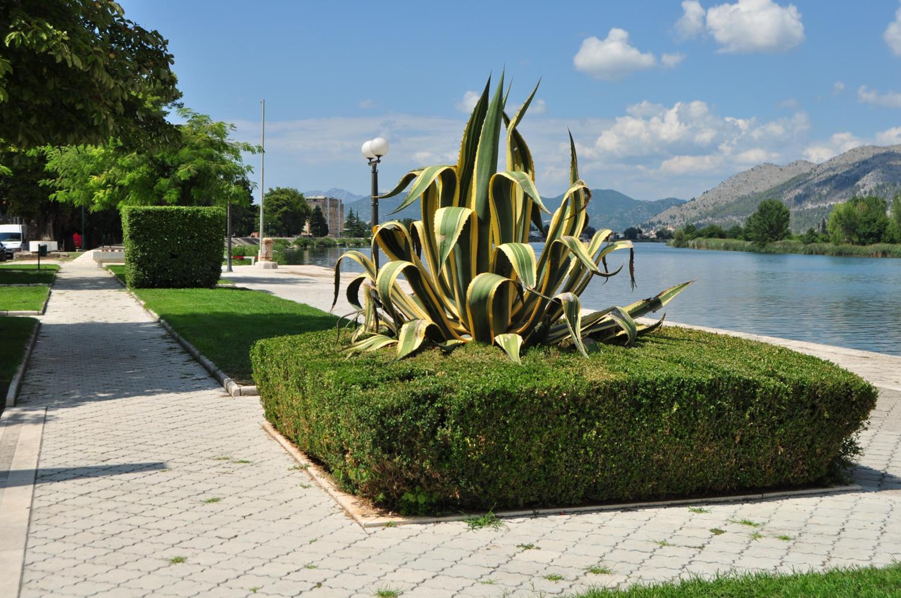 Apartman Luca