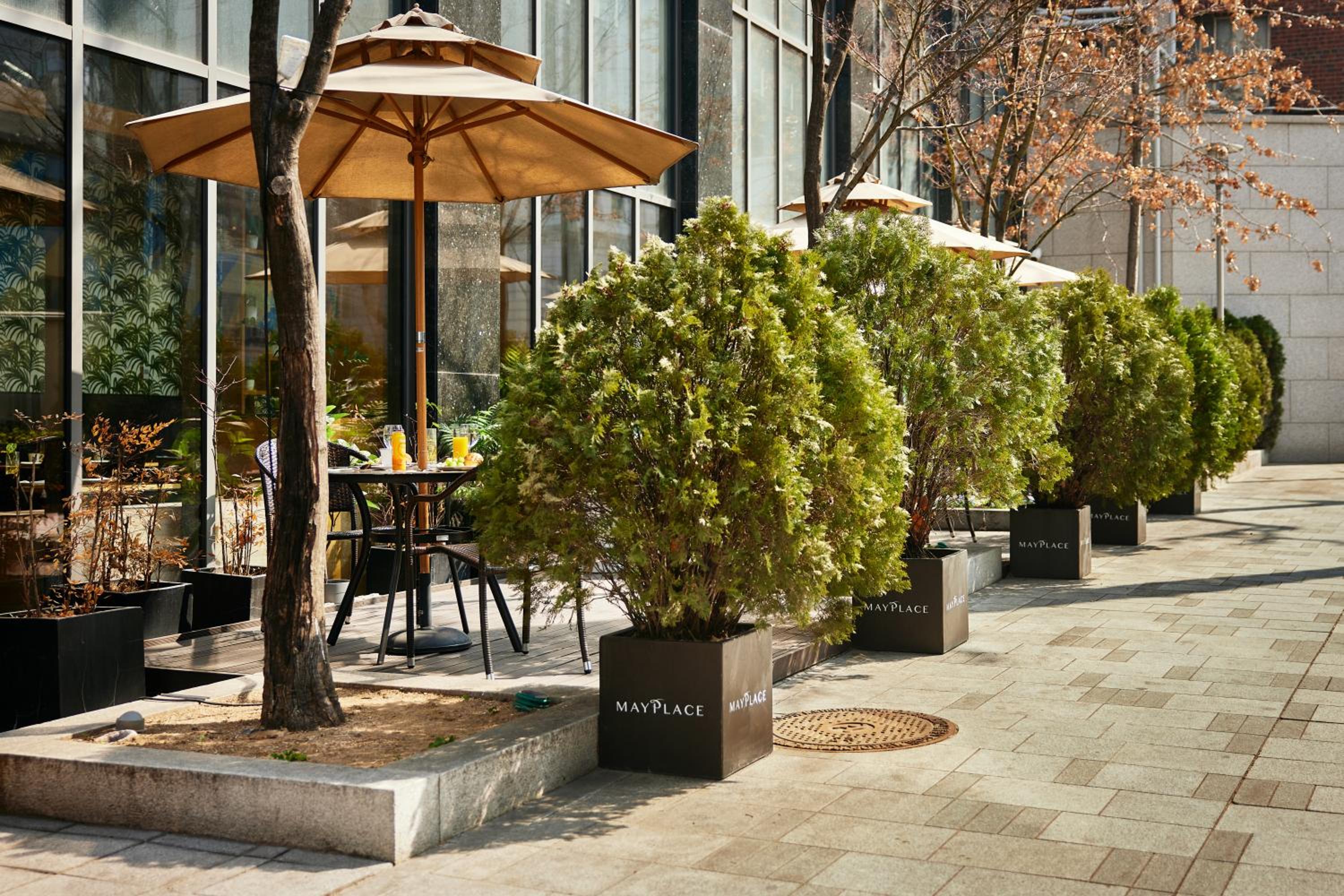 Mayplace Seoul Dongdaemun 6