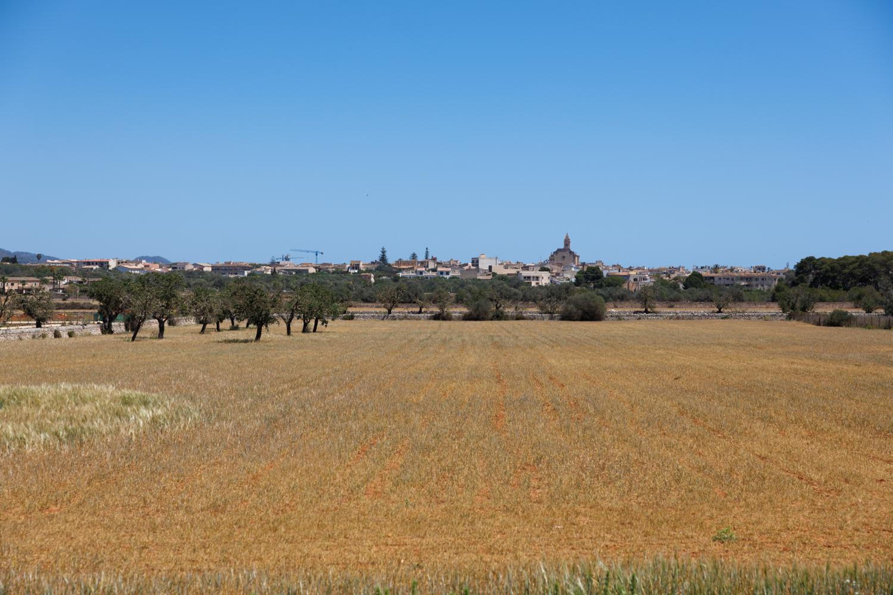 Finca Sa Sort
