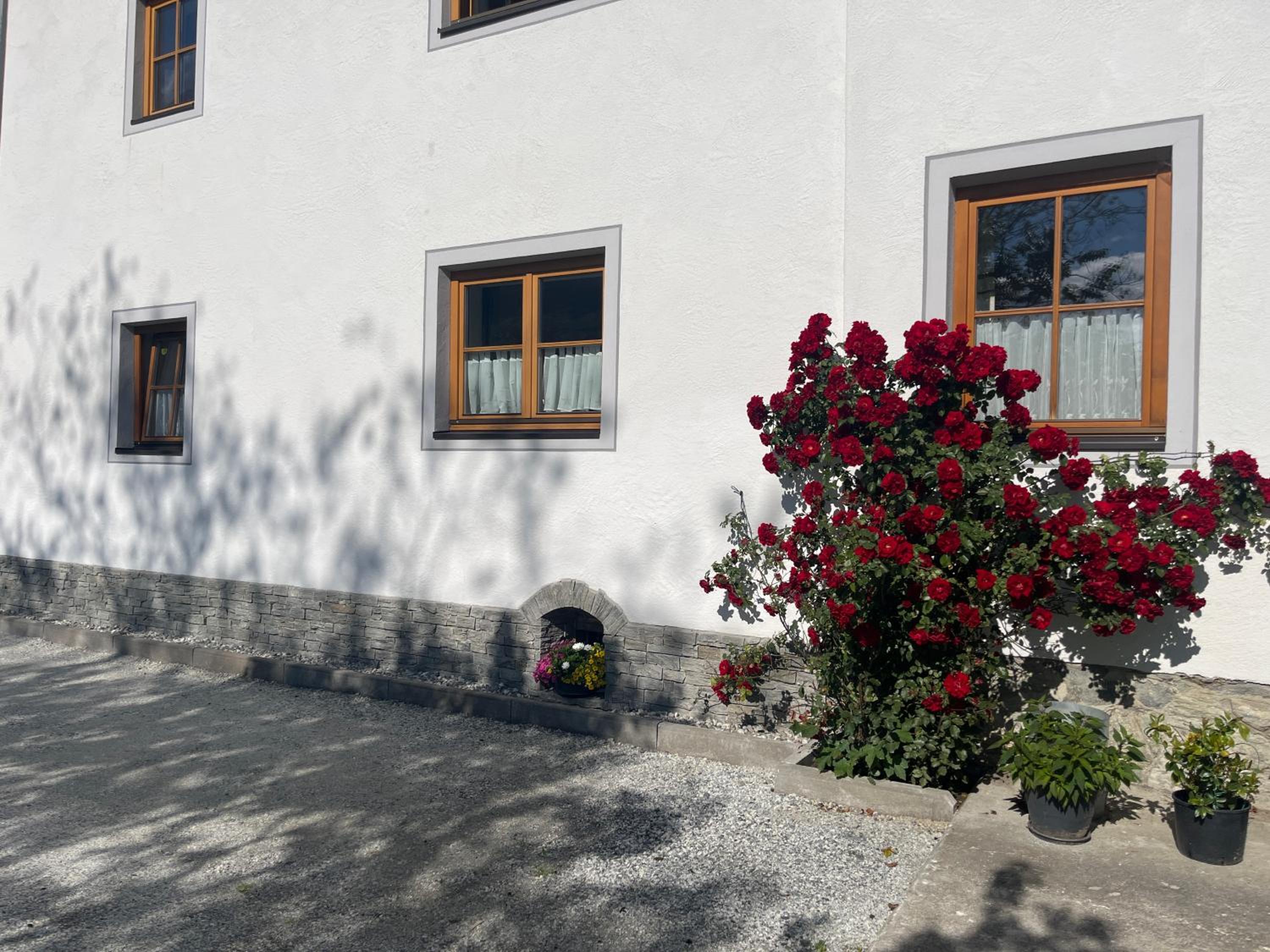 Photo 32