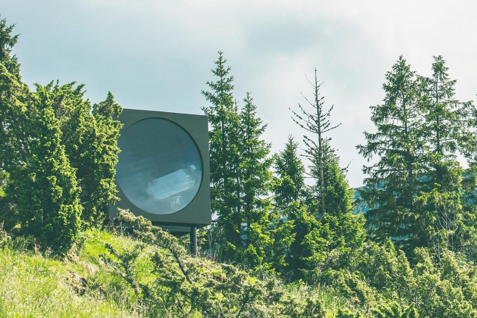 Birdbox Fauske