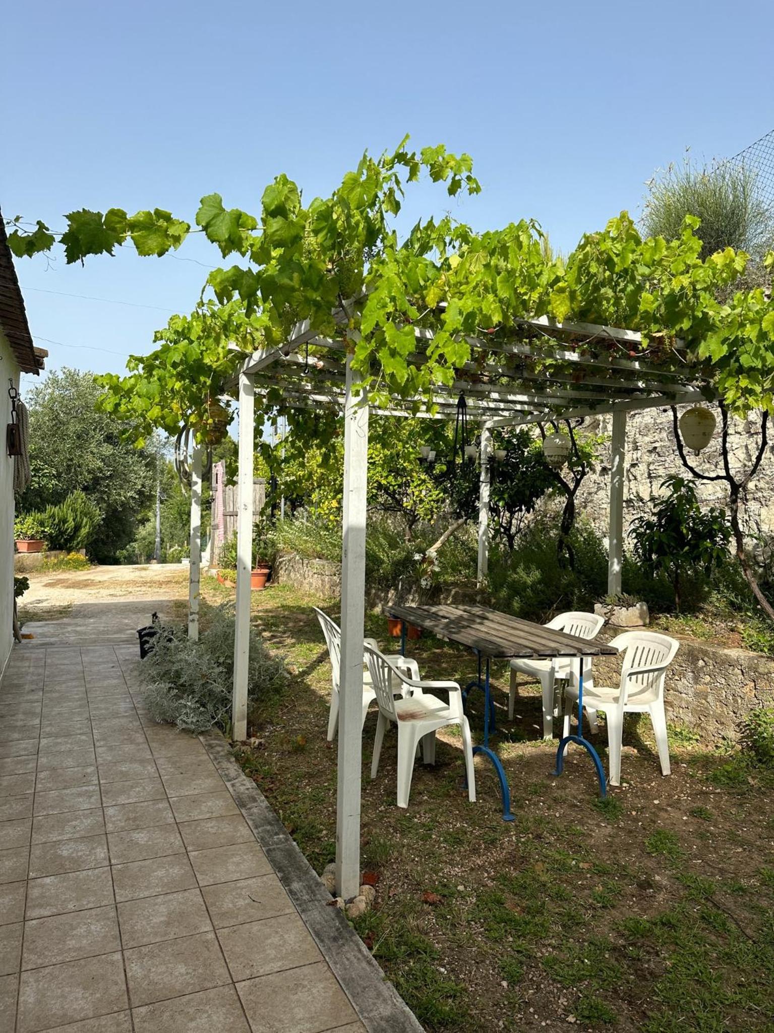Casa da mare photo 2
