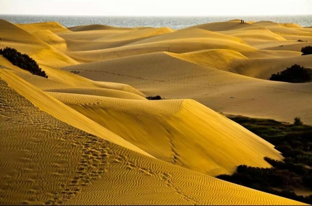 Maspalomas dunes