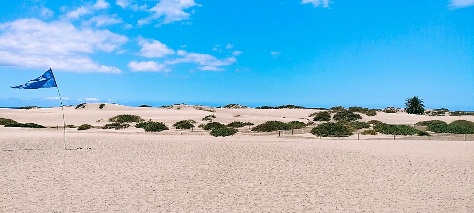 Maspalomas dunes