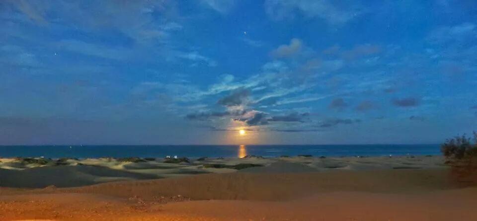 Maspalomas dunes