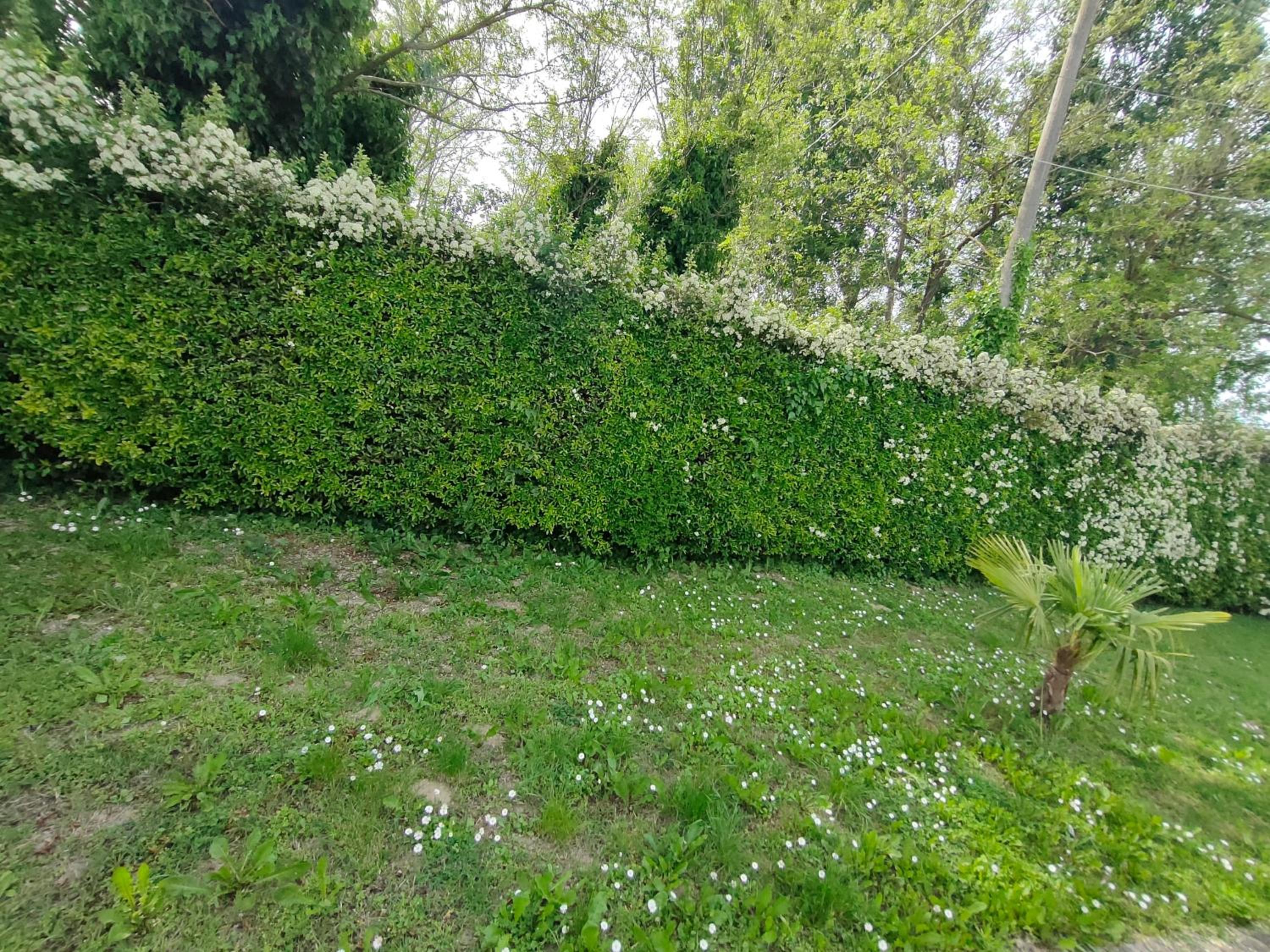 Garden Country House