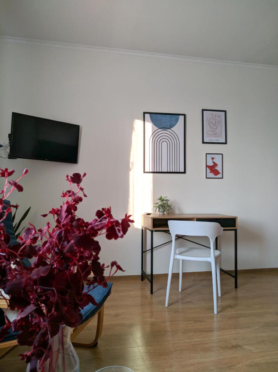 Best Apartment in the Center, photo 13