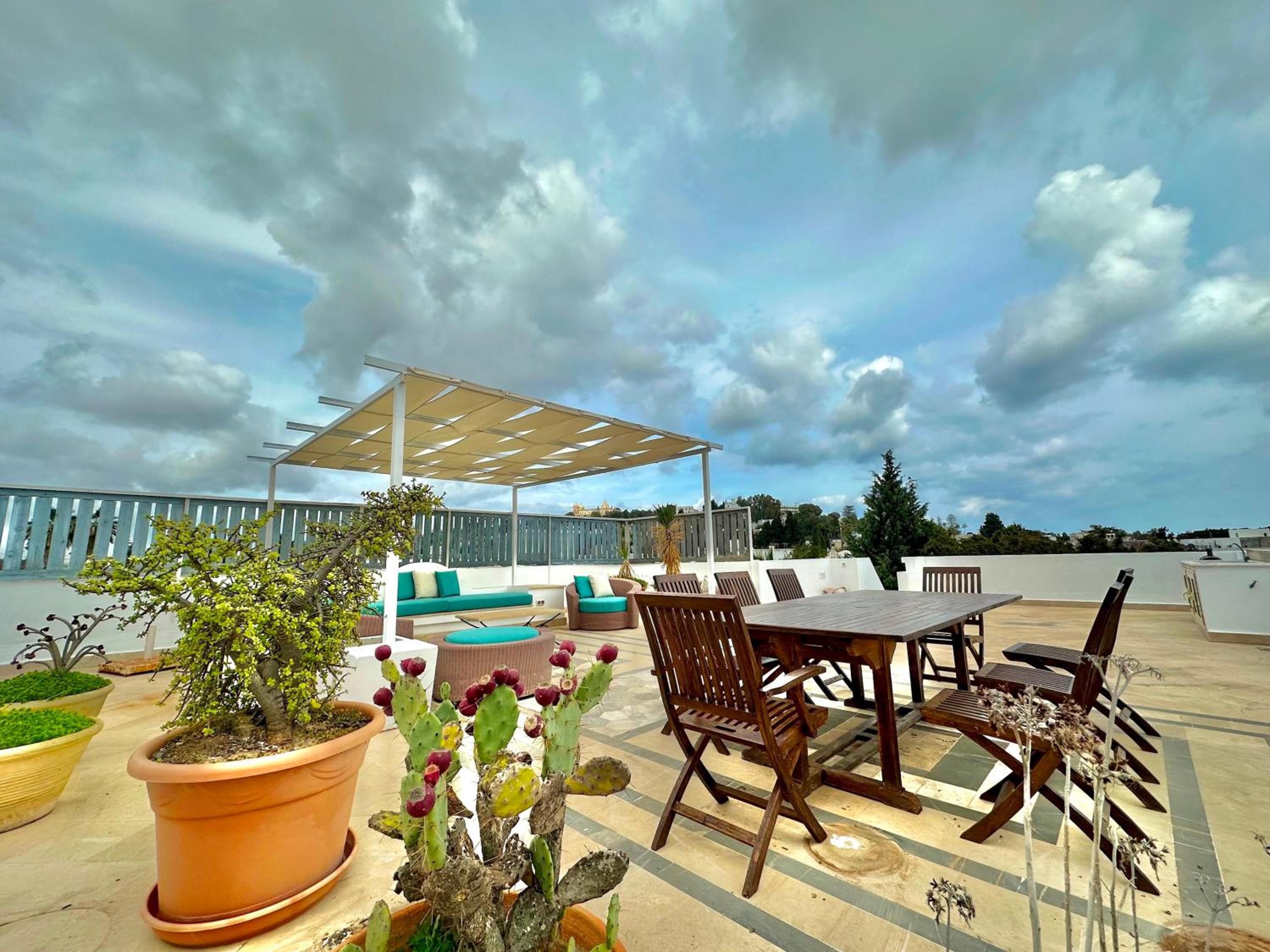 Carthage spacious and cosy with amazing terrace view 5