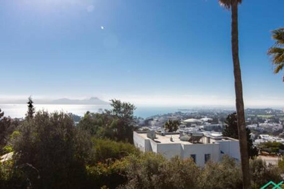 Dar Sophia: La plus belle vue de Sidi Bou Said view 2