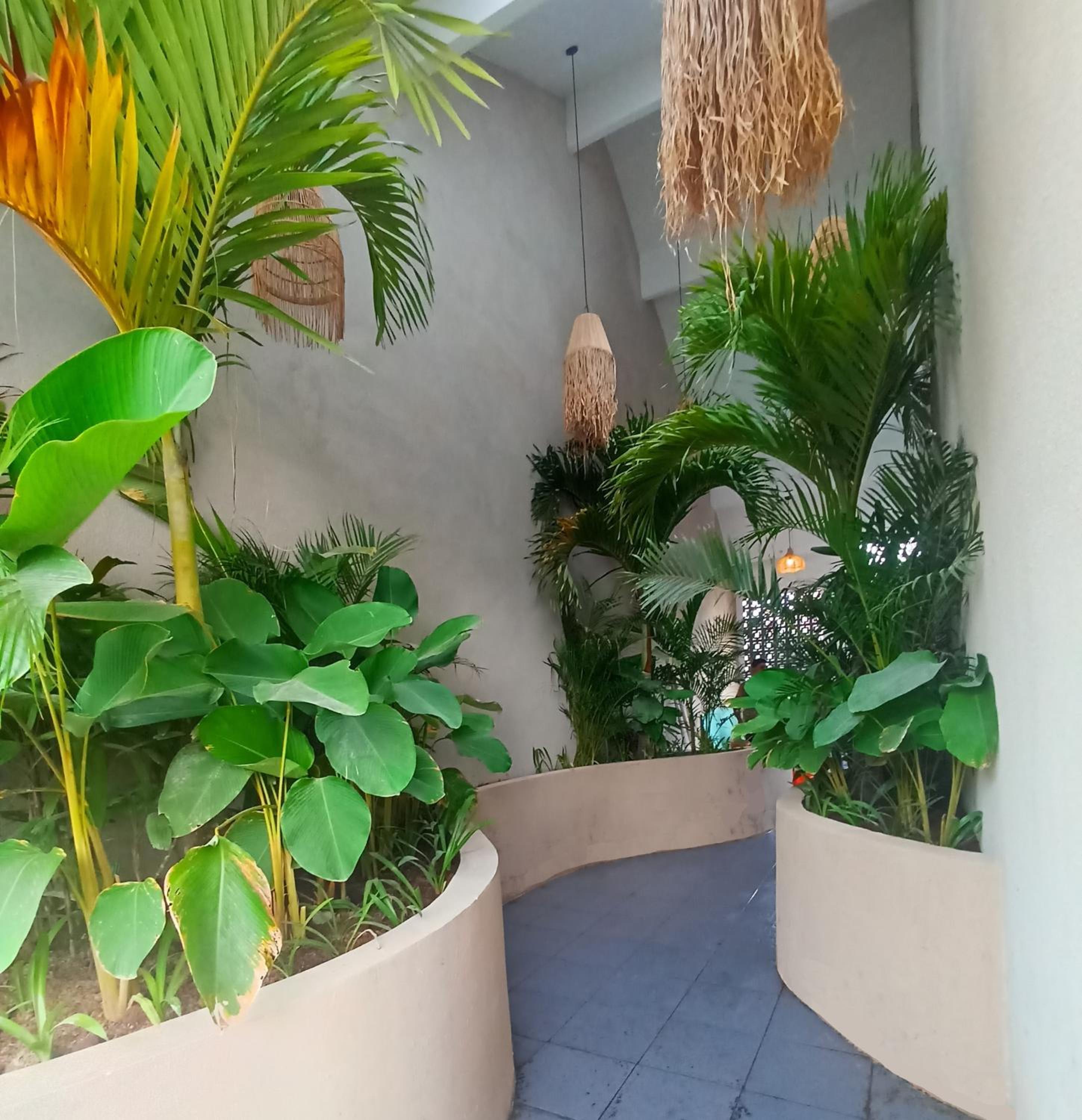 Abian Klumpu Villa & Spa Sanur Bali view 5