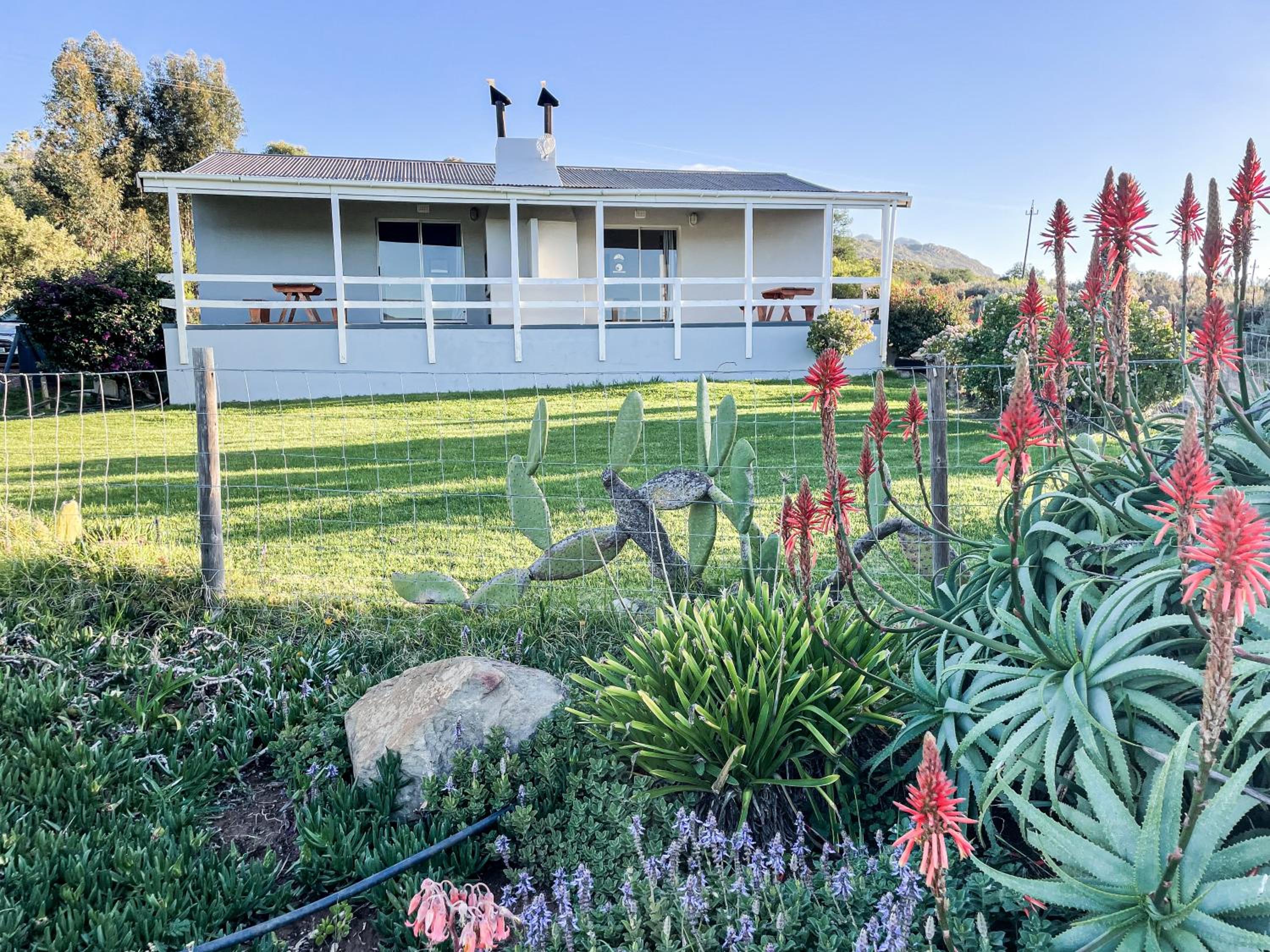 Photo 134
