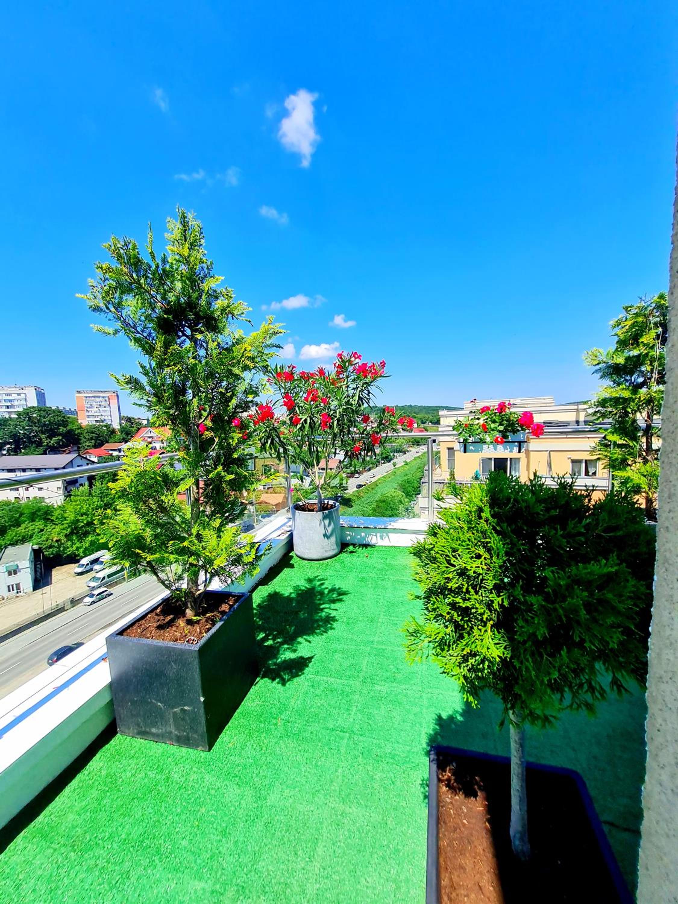 roof