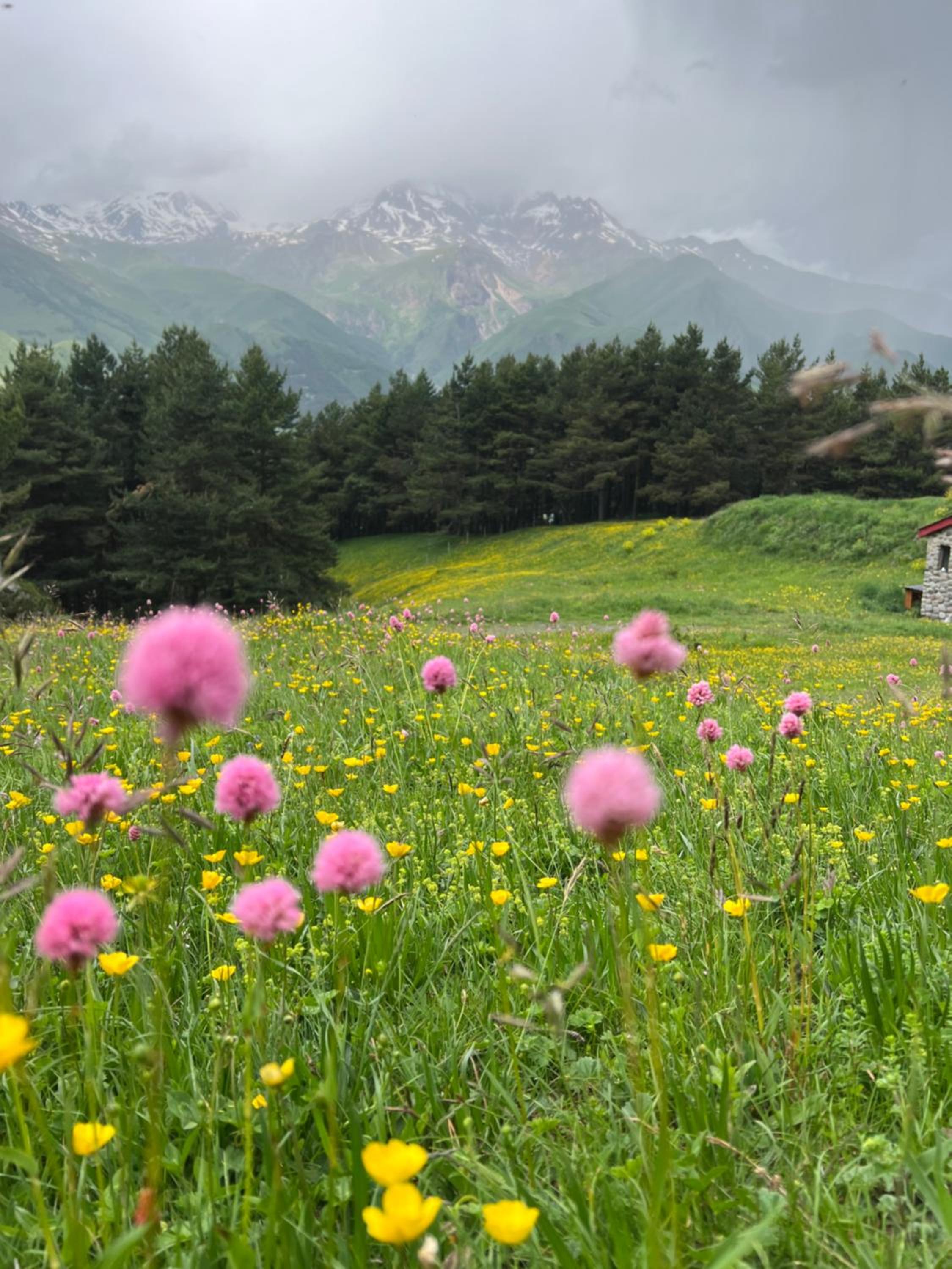 Elia Hut Kazbegi view 3