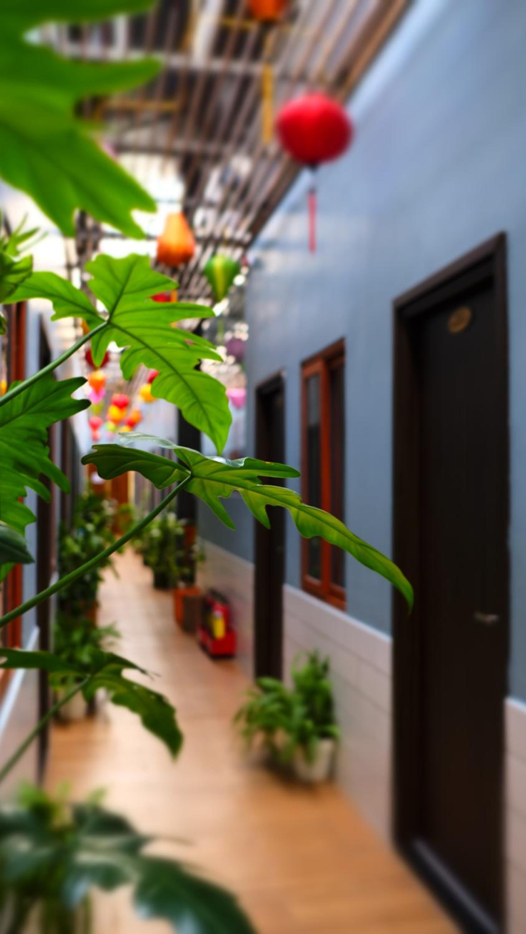 Vania House comfortable studio near the airport