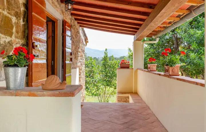 Tenuta Poggio ai Mandorli view 2