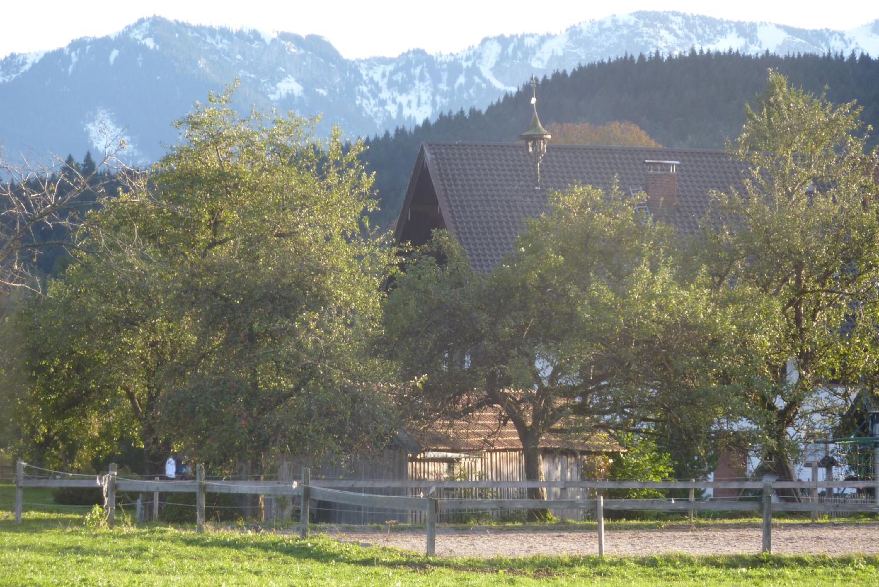 Heissbauer