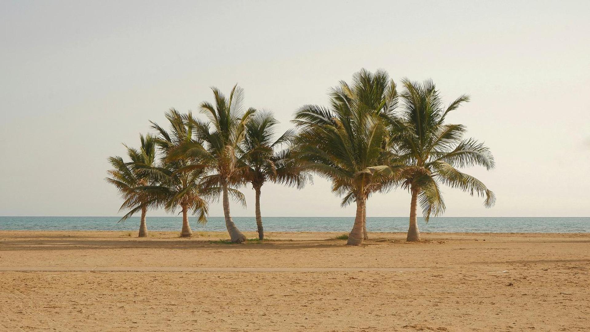 Kempinski Hotel & Resort Sariya Yanbu Red Sea view 5