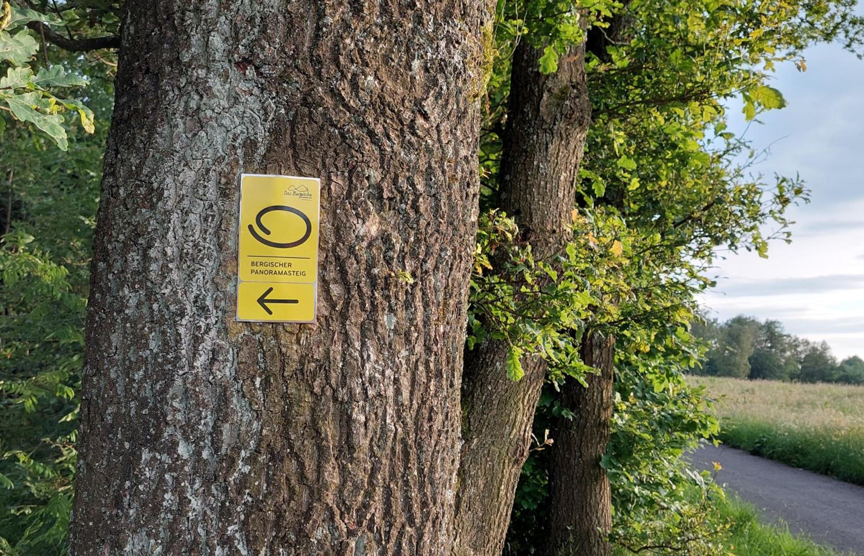 Ferienwohnung Waldbröl - nahe Naturerlebnispark