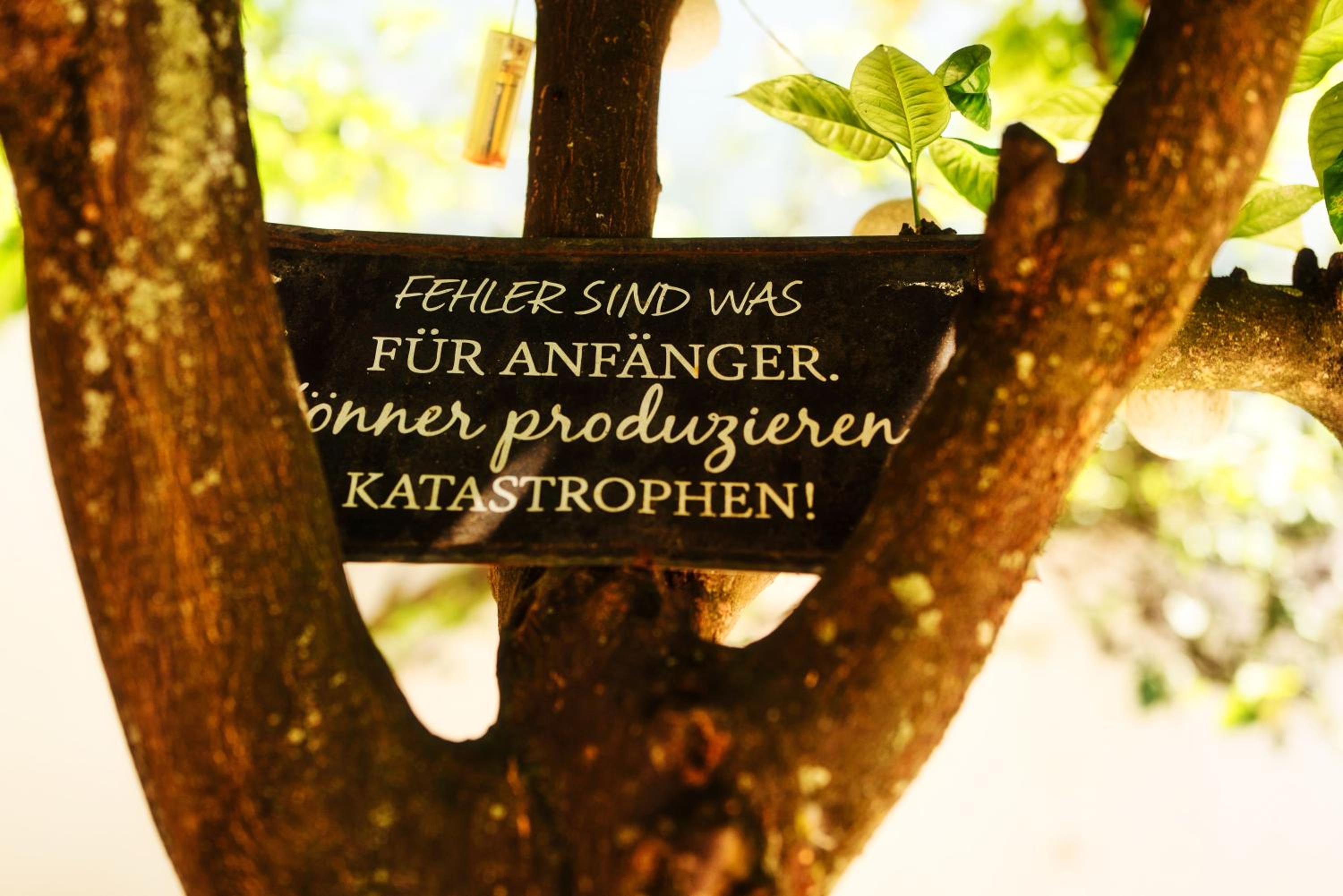 Photo 50