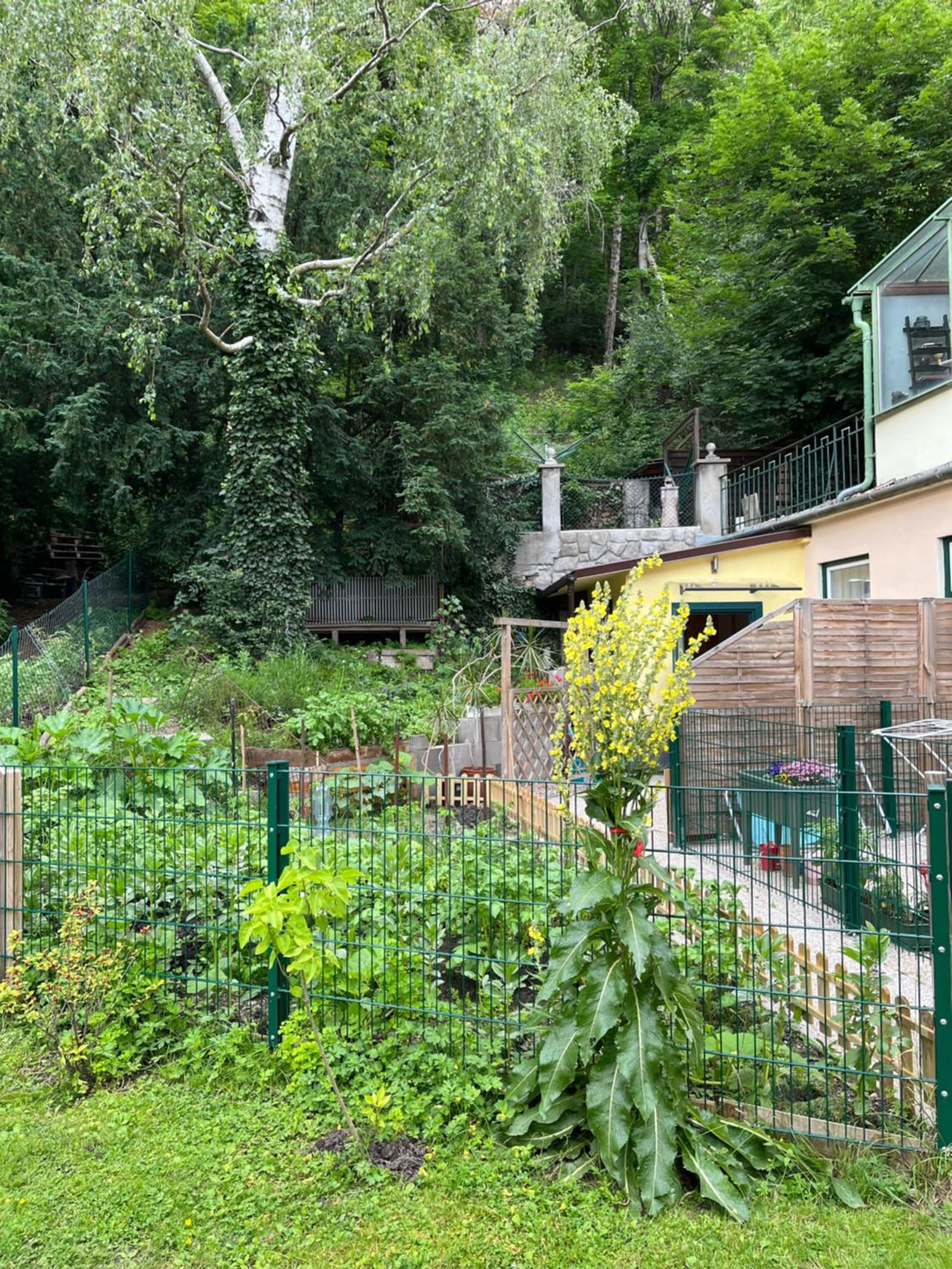 Schöne Wohnung im Helenental