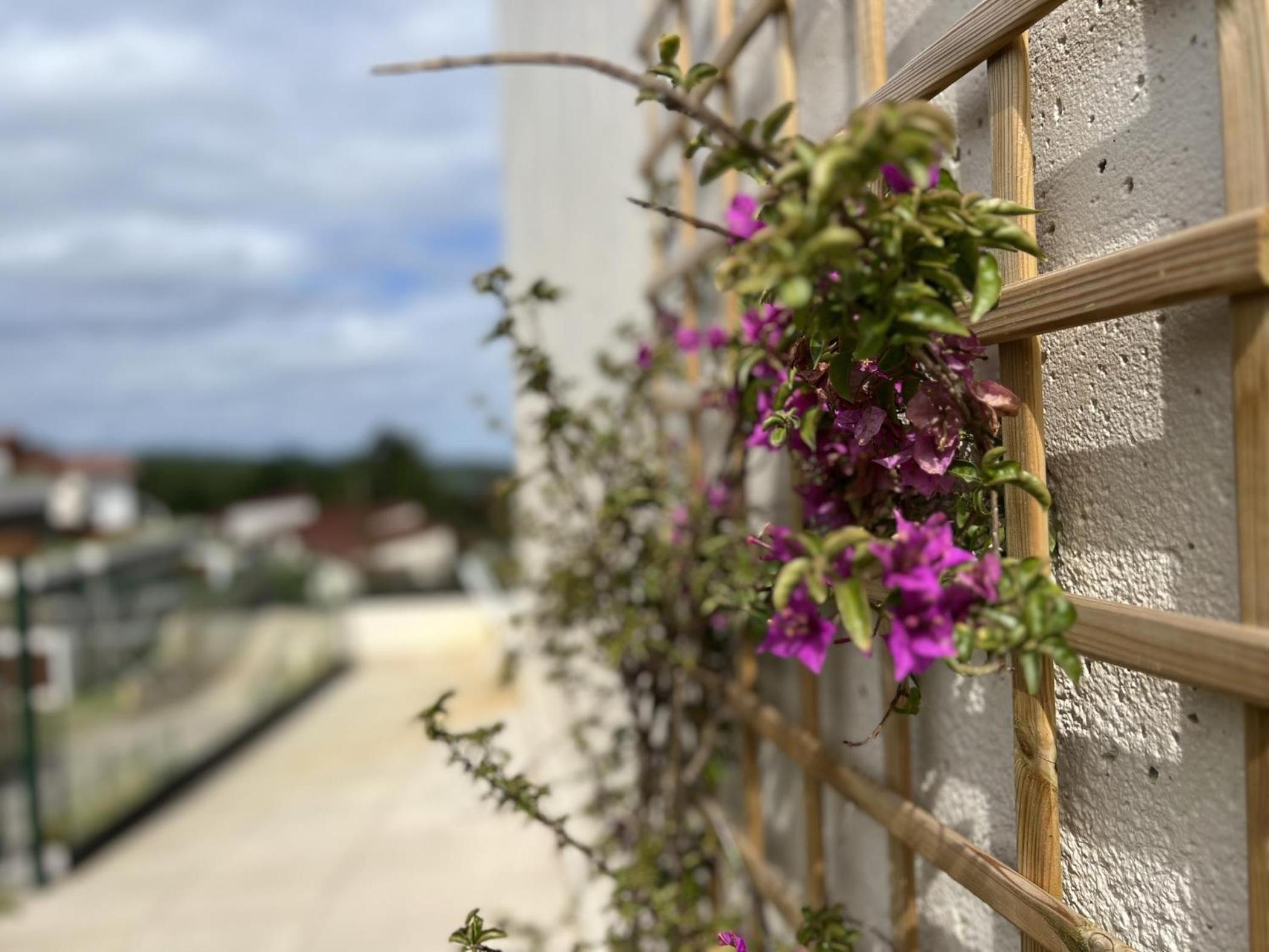 Apartamento Mirador de Comillas