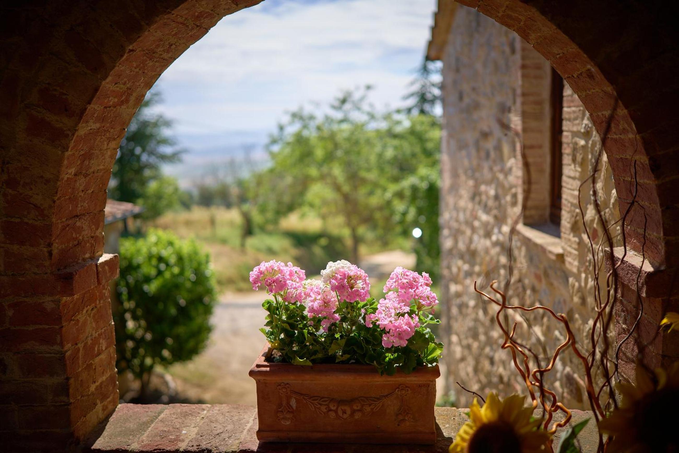 Agriturismo Le Case view 5