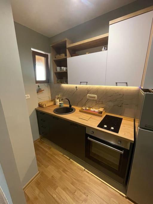 Apartment Filip