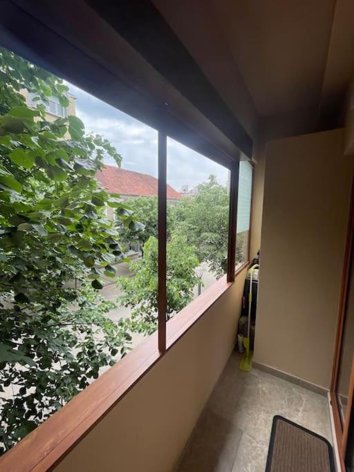 Apartment Filip