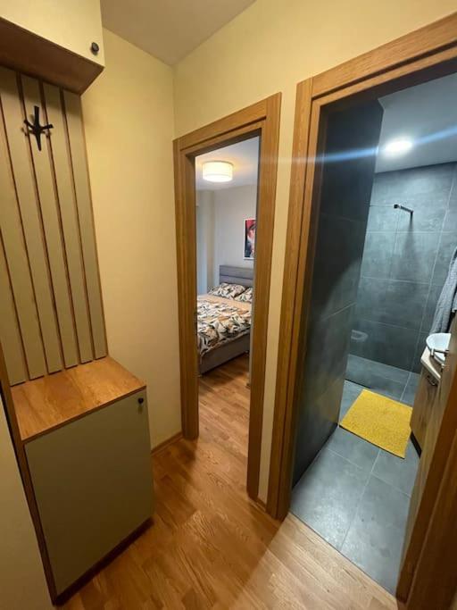 Apartment Filip