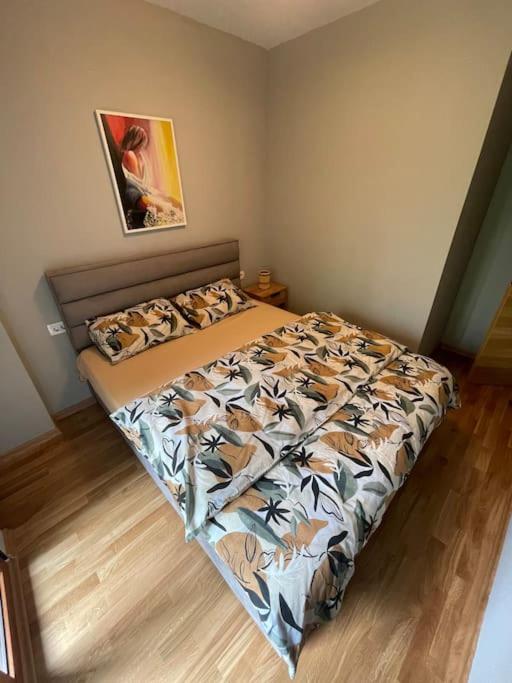 Apartment Filip