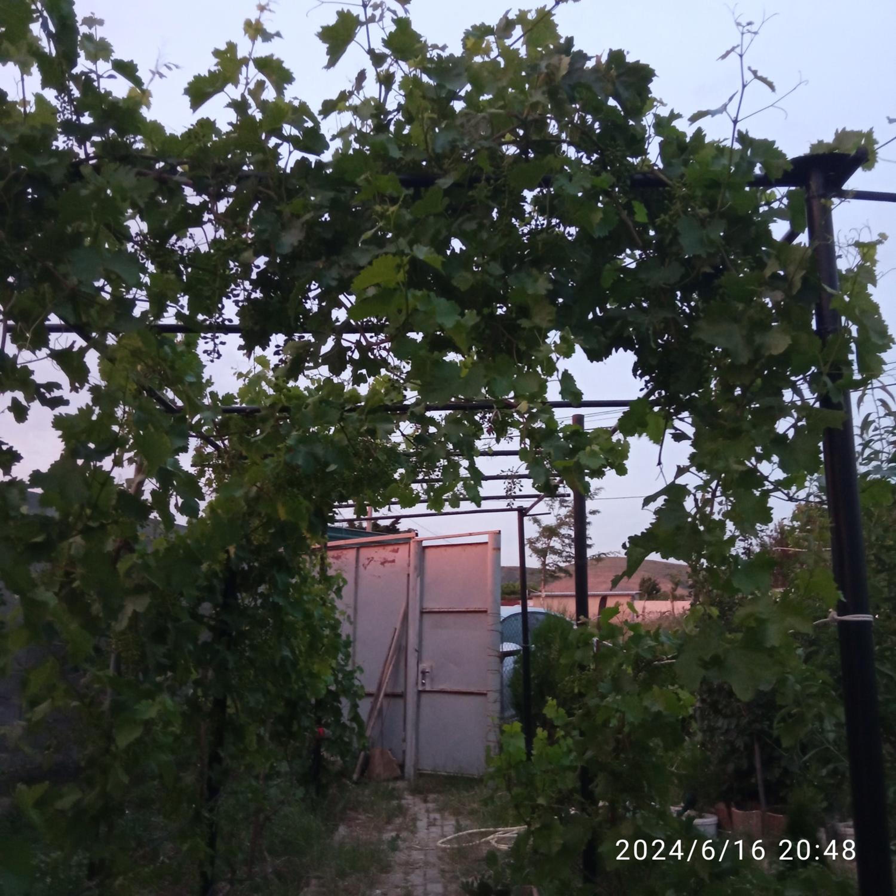 The house has a nice view