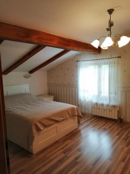 Apartma na podeželju - Slovenia Nature