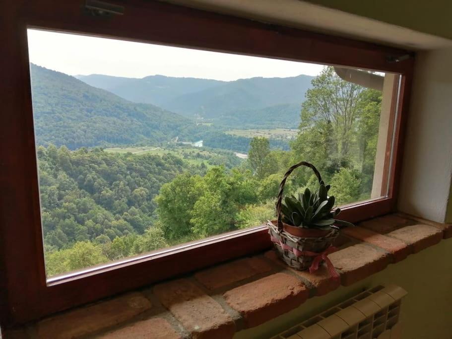 Apartma na podeželju - Slovenia Nature