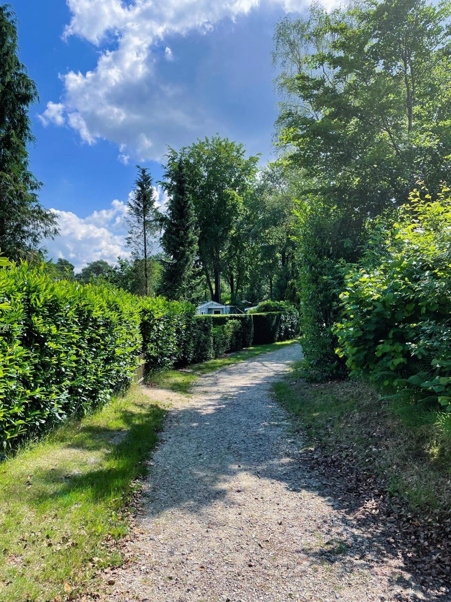 FELICITY - Family Home in the forest