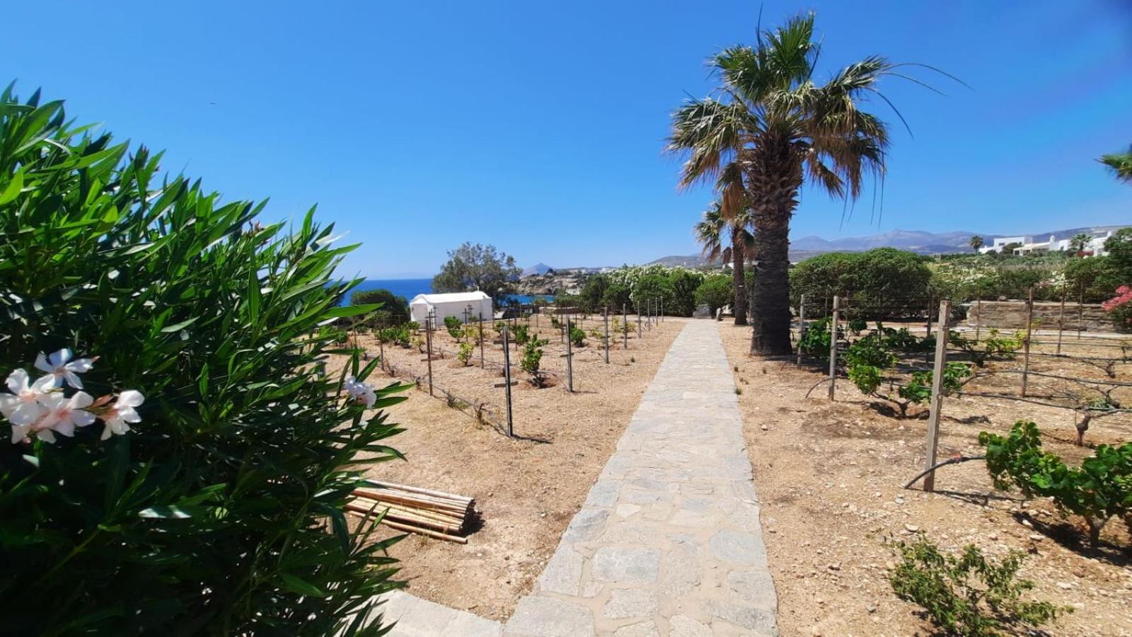 Villa Antinaxos