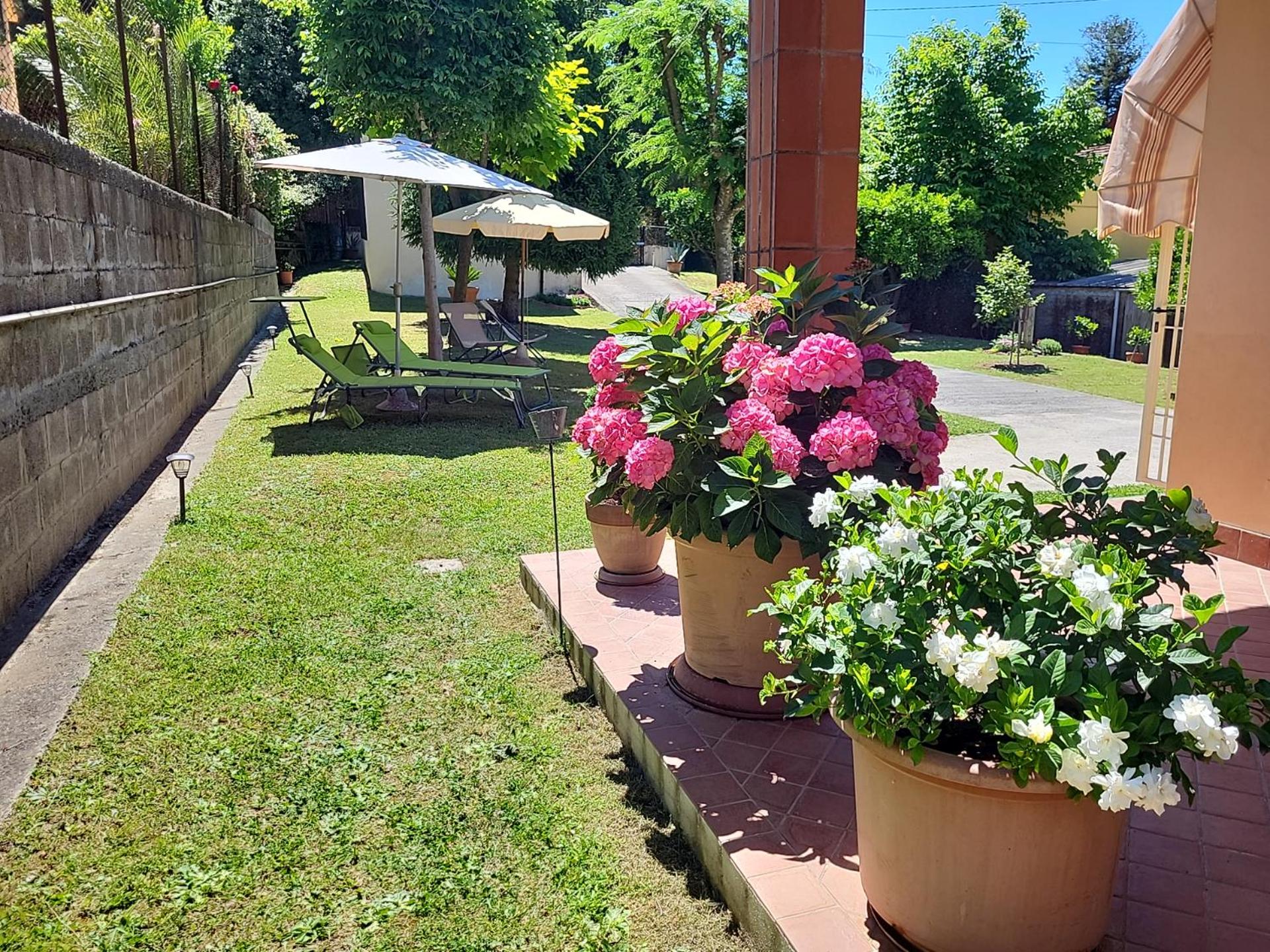 The House of Citrus - amazing country house near Viareggio beach and Lucca view 3